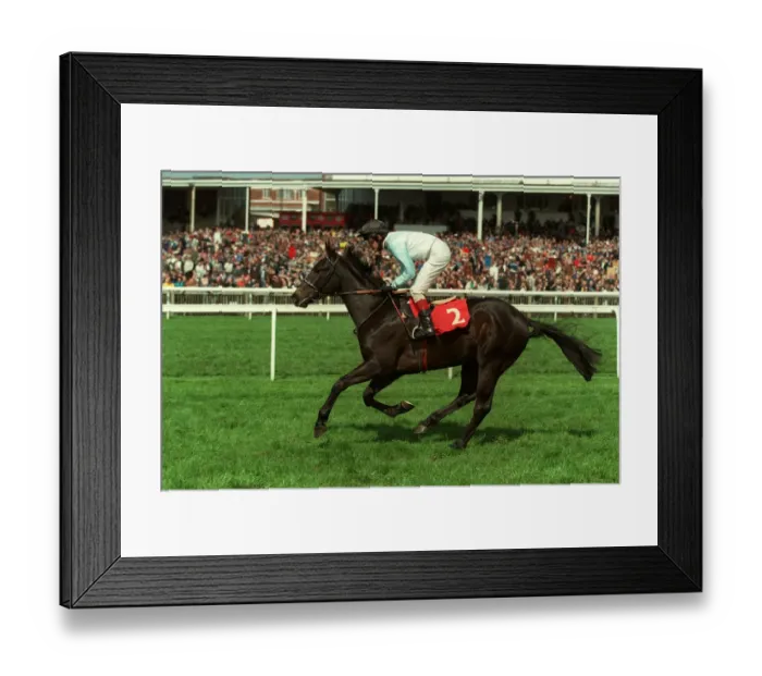 Framed Print : Encounter Ridden By M.J.Kinane 05 May 1998 Date: 05 May 1998 Framed Print : Encounter Ridden By M.J.Kinane 05 May 1998 Date: 05 May 1998