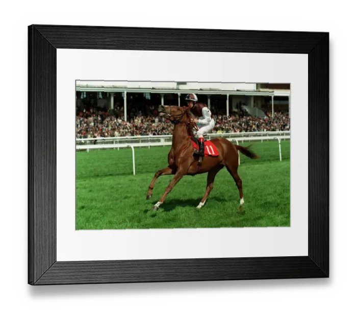 Framed Print : Pipsisewa Ridden By S.Drowne 05 May 1998 Date: 05 May 1998 Framed Print : Pipsisewa Ridden By S.Drowne 05 May 1998 Date: 05 May 1998