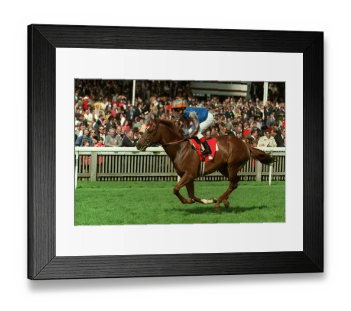 Framed Print : Arkadian Hero Framed Print : Arkadian Hero