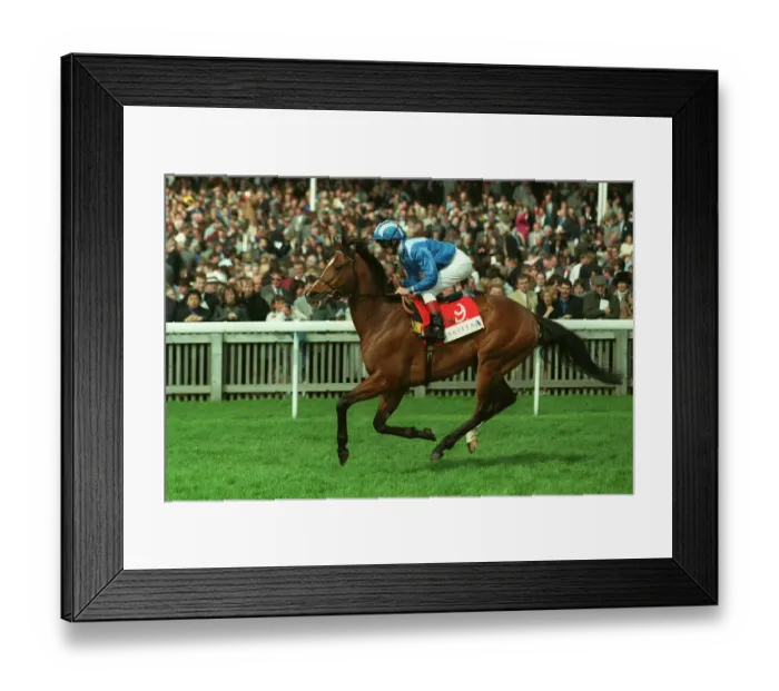 Framed Print : Haami Ridden By R.Hills 05 May 1998 Date: 05 May 1998 Framed Print : Haami Ridden By R.Hills 05 May 1998 Date: 05 May 1998