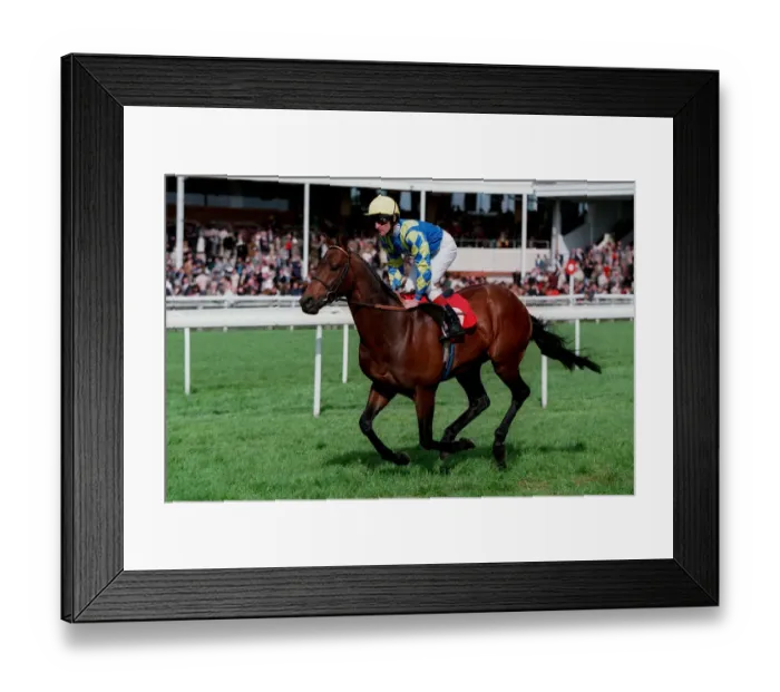 Framed Print : My Best Valentine Framed Print : My Best Valentine