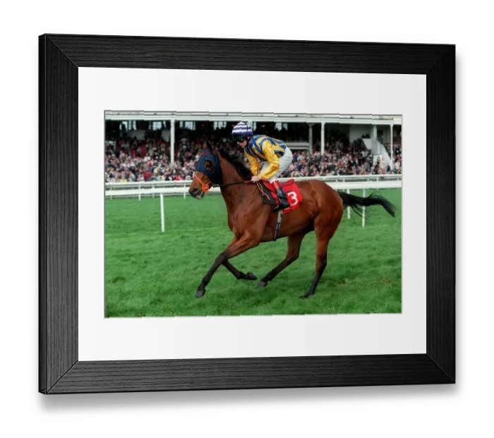 Framed Print : Hopping Higgins Framed Print : Hopping Higgins