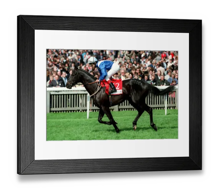 Framed Print : Lend A Hand Framed Print : Lend A Hand