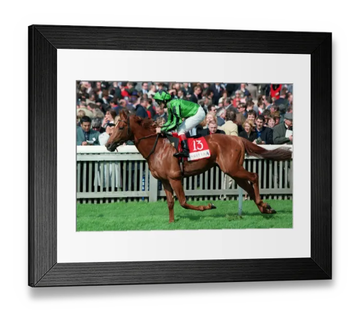Framed Print : Little Indian