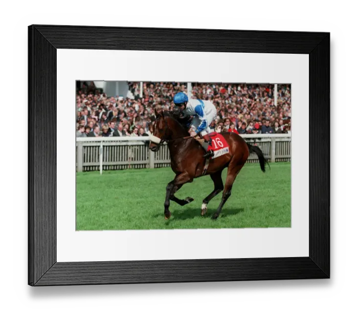 Framed Print : Speedfit Too Framed Print : Speedfit Too