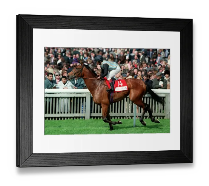 Framed Print : Pegnitz Ridden By M.Roberts 05 May 1998 Date: 05 May 1998 Framed Print : Pegnitz Ridden By M.Roberts 05 May 1998 Date: 05 May 1998