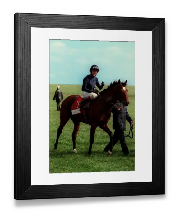 Framed Print : King Of Kings Framed Print : King Of Kings