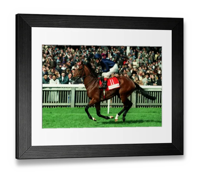 Framed Print : King Of Kings