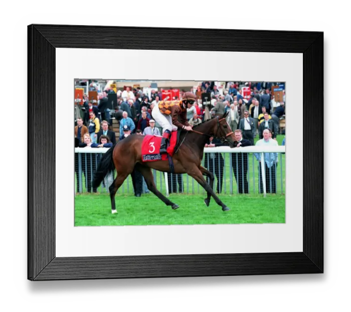 Framed Print : Anna Ridden By D.Harrison 14 May 1998 Date: 14 May 1998 Framed Print : Anna Ridden By D.Harrison 14 May 1998 Date: 14 May 1998
