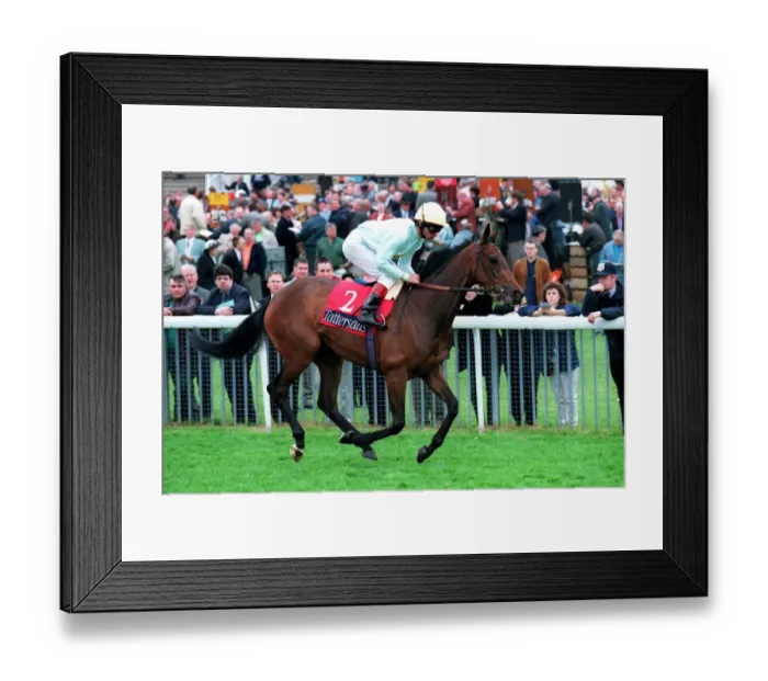 Framed Print : Alignment Ridden By W.R.Swinburn 14 May 1998 Date: 14 May 1998 Framed Print : Alignment Ridden By W.R.Swinburn 14 May 1998 Date: 14 May 1998