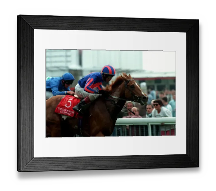 Framed Print : Saratoga Springs, Wins The York Framed Print : Saratoga Springs, Wins The York