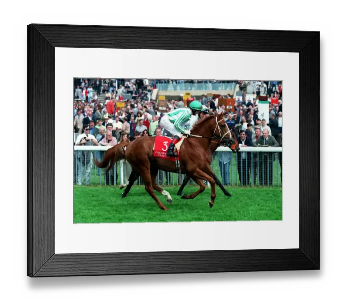 Framed Print : Dr Fong Ridden By K.Fallon 14 May 1998 Date: 14 May 1998 Framed Print : Dr Fong Ridden By K.Fallon 14 May 1998 Date: 14 May 1998