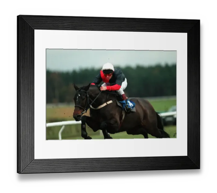 Framed Print : A. Walton Jockey 23 November 1998 Date: 23 November 1998 Framed Print : A. Walton Jockey 23 November 1998 Date: 23 November 1998