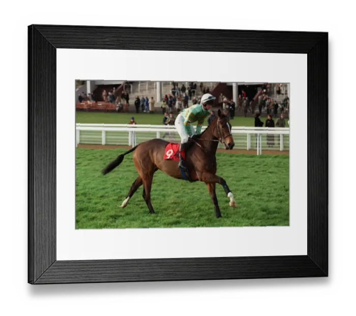 Framed Print : Freelander Framed Print : Freelander
