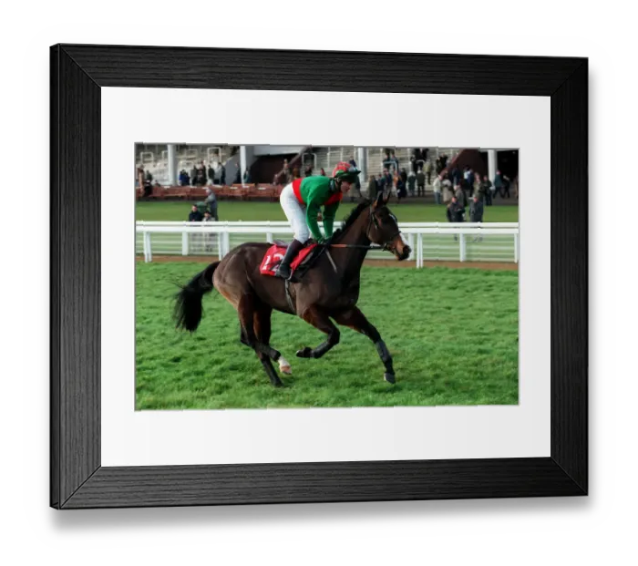 Framed Print : Grand Gousier Framed Print : Grand Gousier