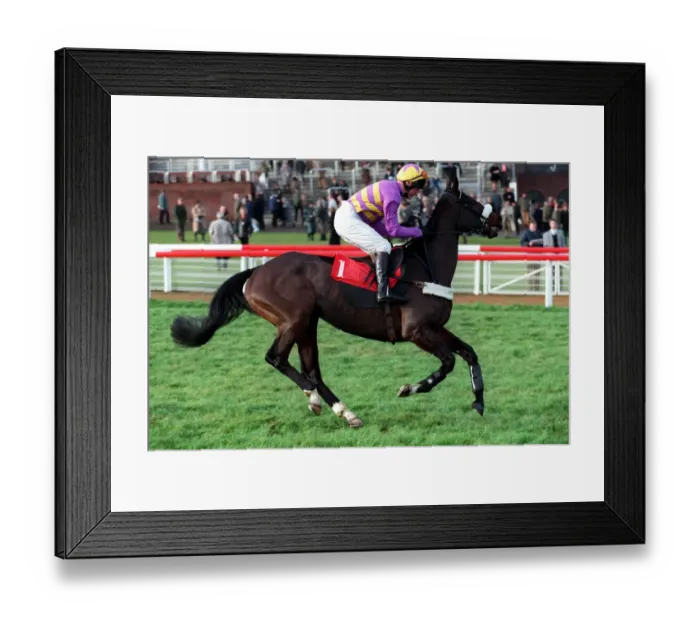 Framed Print : Rio King Ridden By R.Bellamy 14 December 1998 Date: 14 December 1998 Framed Print : Rio King Ridden By R.Bellamy 14 December 1998 Date: 14 December 1998