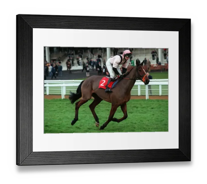 Framed Print : Belmont King Framed Print : Belmont King