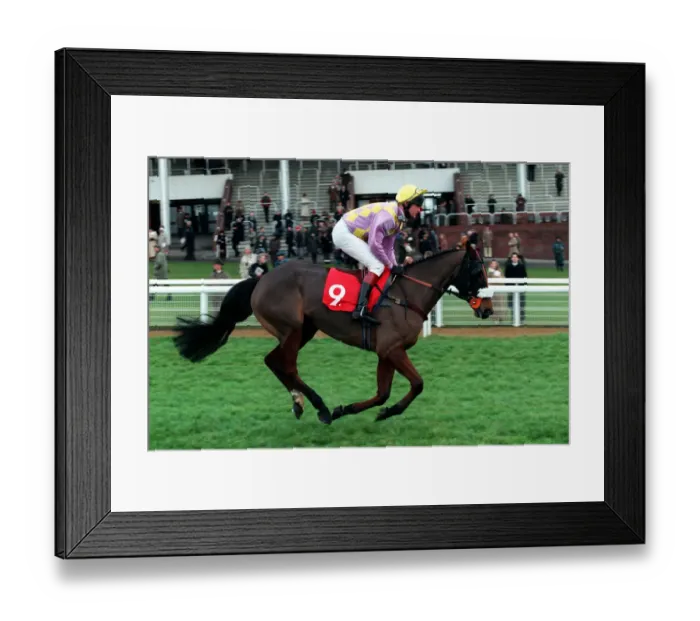 Framed Print : Court Melody Framed Print : Court Melody