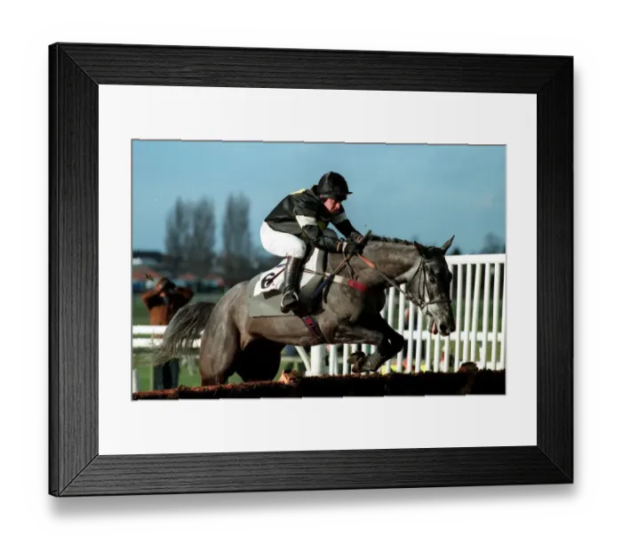 Framed Print : Gracie Grey Framed Print : Gracie Grey