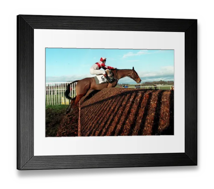 Framed Print : Island Chief Framed Print : Island Chief