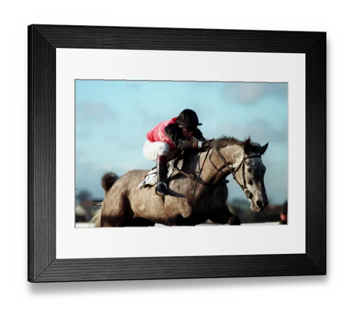 Framed Print : Birkdale Ridden By W.Dowling 25 January 1999 Date: 25 January 1999 Framed Print : Birkdale Ridden By W.Dowling 25 January 1999 Date: 25 January 1999