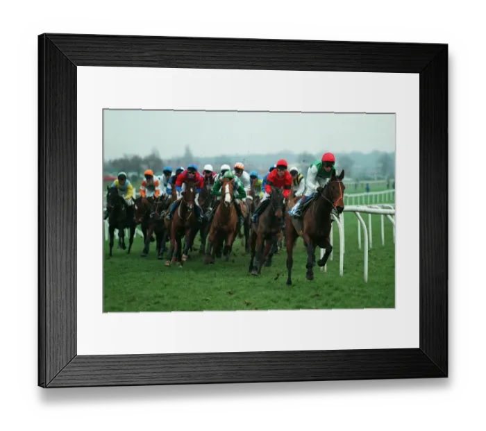 Framed Print : Ambrosia Ridden By Robert Thornton 29 January 1999 Date: 29 January 1999 Framed Print : Ambrosia Ridden By Robert Thornton 29 January 1999 Date: 29 January 1999