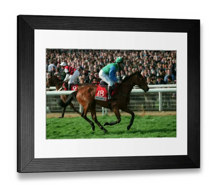 Framed Print : Wither Or Which Framed Print : Wither Or Which