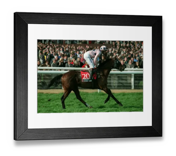 Framed Print : Treasure Chest Framed Print : Treasure Chest