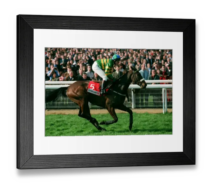 Framed Print : Cardinal Hill Framed Print : Cardinal Hill