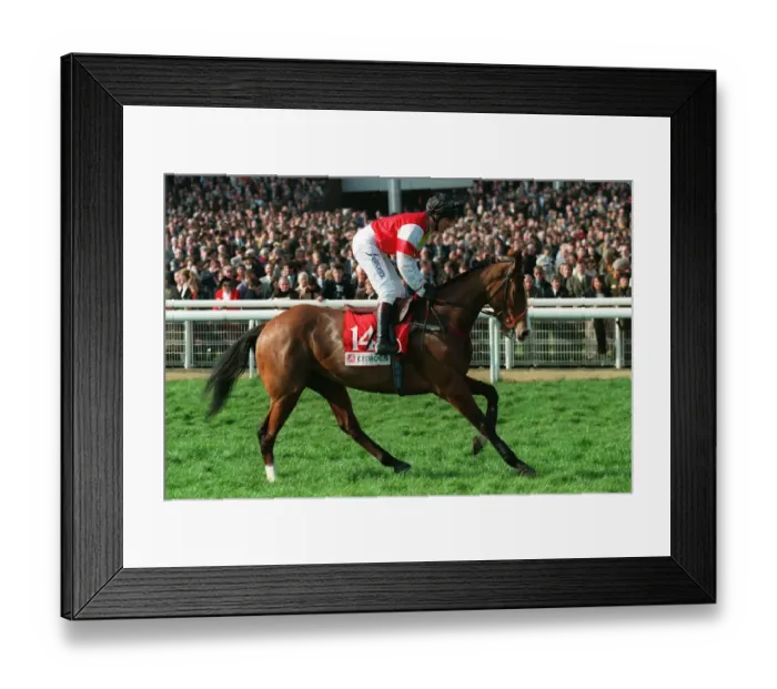 Framed Print : Ricardo. Ridden By N.Williamson 22 March 1999 Date: 22 March 1999 Framed Print : Ricardo. Ridden By N.Williamson 22 March 1999 Date: 22 March 1999
