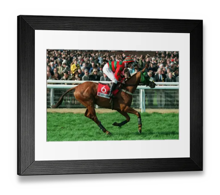 Framed Print : Carlys Quest Framed Print : Carlys Quest