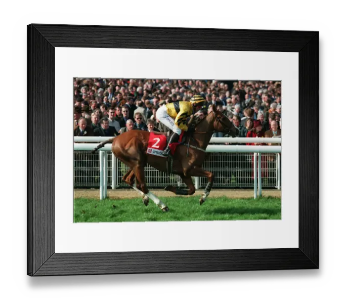 Framed Print : Arctic Fancy