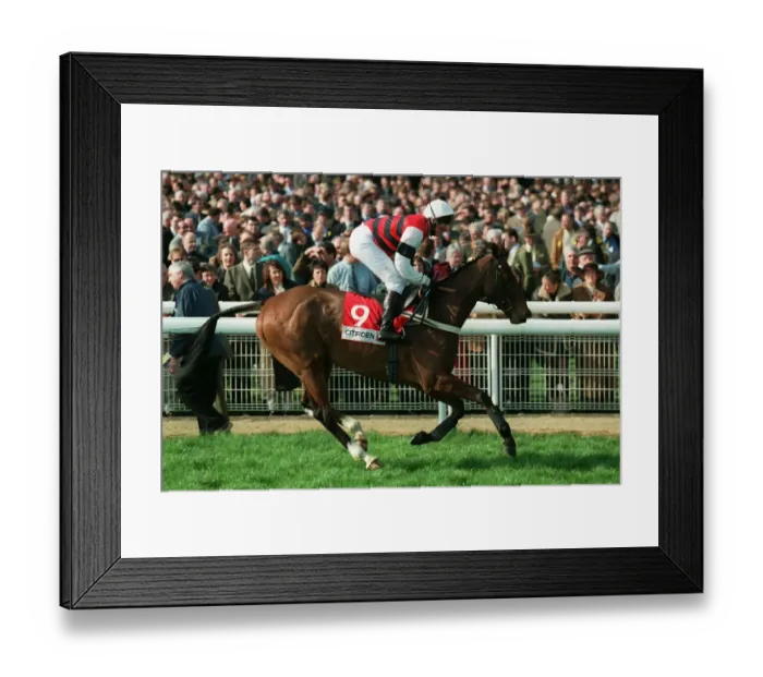 Framed Print : Hoh Invader Framed Print : Hoh Invader
