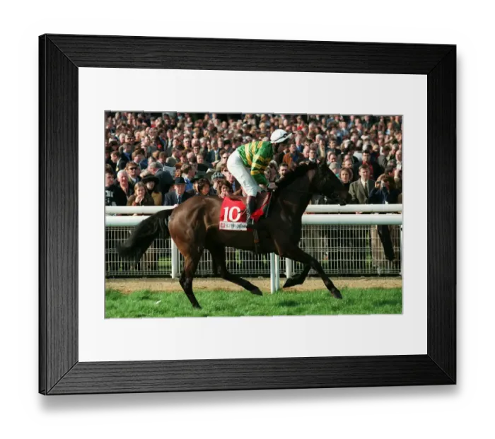 Framed Print : Joe Mac Ridden By C.O.Dwyer 22 March 1999 Date: 22 March 1999 Framed Print : Joe Mac Ridden By C.O.Dwyer 22 March 1999 Date: 22 March 1999