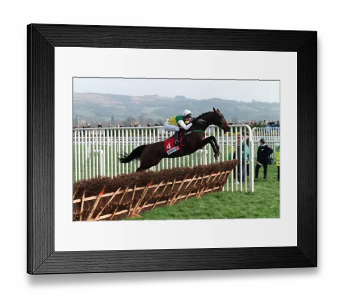 Framed Print : Brown Lad. Ridden By S.Durak 22 March 1999 Date: 22 March 1999 Framed Print : Brown Lad. Ridden By S.Durak 22 March 1999 Date: 22 March 1999
