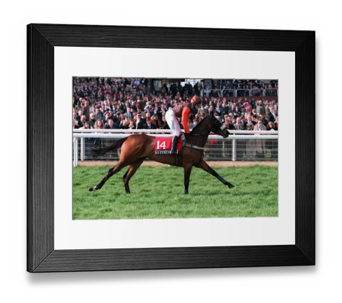 Framed Print : Makounji Ridden By M.A.Fitzgerald 22 March 1999 Date: 22 March 1999 Framed Print : Makounji Ridden By M.A.Fitzgerald 22 March 1999 Date: 22 March 1999