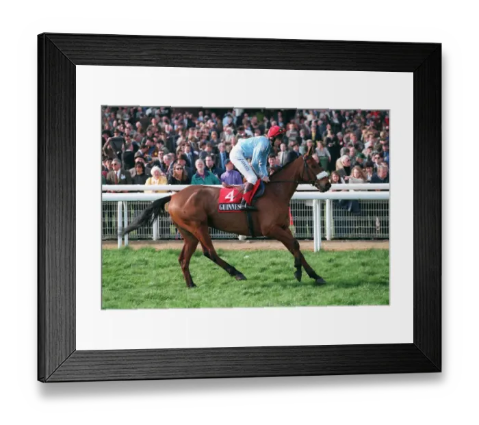 Framed Print : Feathered Leader Framed Print : Feathered Leader