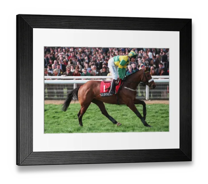 Framed Print : Advocat Ridden By N.Williamson 22 March 1999 Date: 22 March 1999 Framed Print : Advocat Ridden By N.Williamson 22 March 1999 Date: 22 March 1999