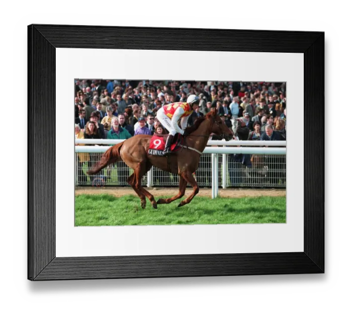 Framed Print : Non Vintage Framed Print : Non Vintage