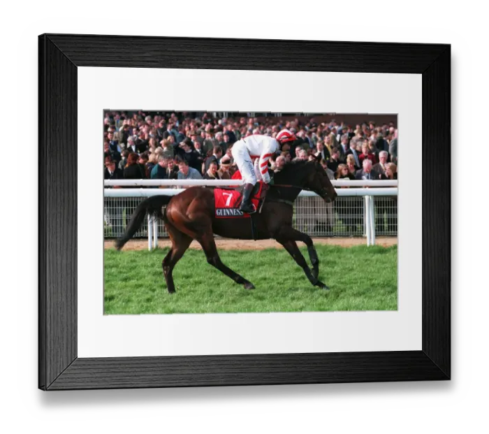Framed Print : Native Darrig Framed Print : Native Darrig
