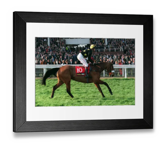 Framed Print : Calling Wild