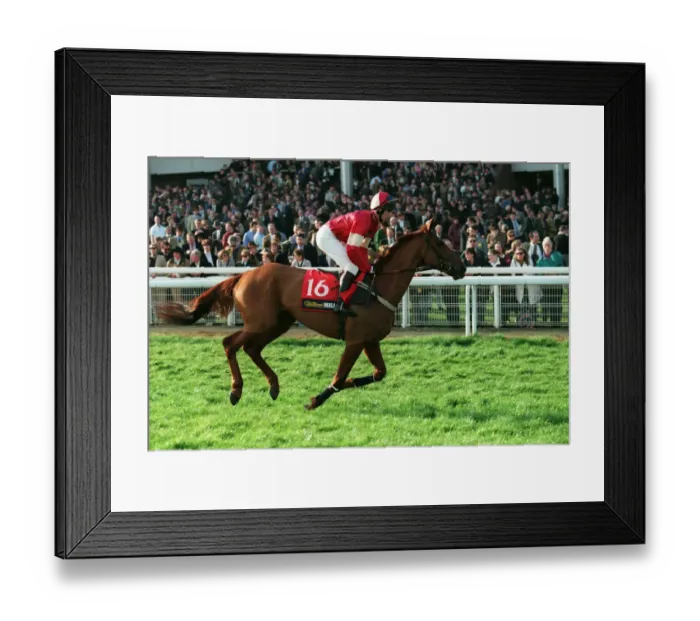Framed Print : Eulogy Ridden By L.Aspell 23 March 1999 Date: 23 March 1999 Framed Print : Eulogy Ridden By L.Aspell 23 March 1999 Date: 23 March 1999