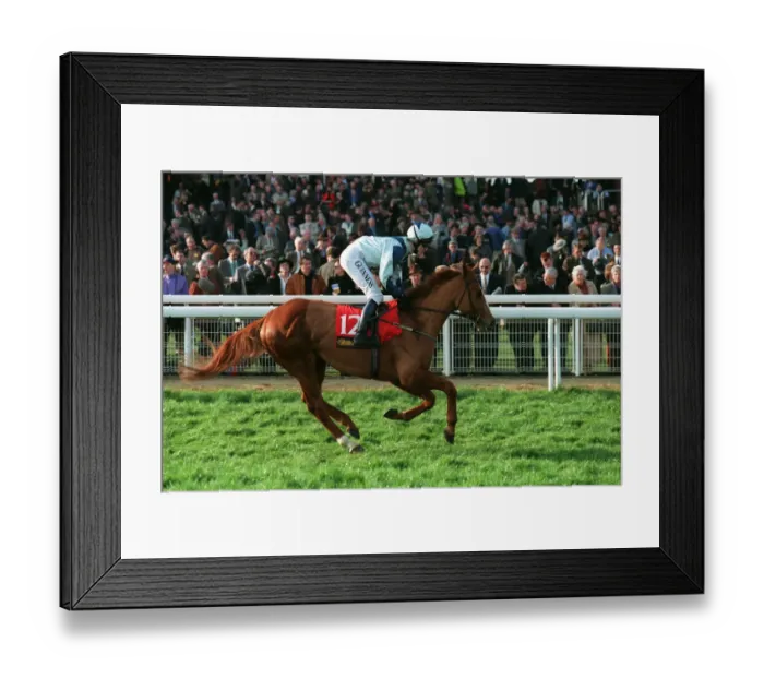 Framed Print : Jathib Ridden By A.P.Mccoy 23 March 1999 Date: 23 March 1999 Framed Print : Jathib Ridden By A.P.Mccoy 23 March 1999 Date: 23 March 1999