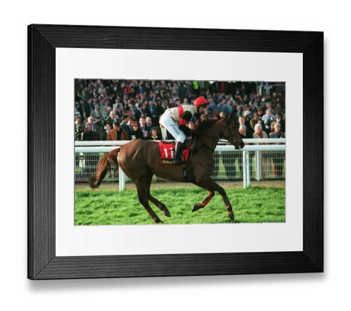 Framed Print : Santa Concerto Framed Print : Santa Concerto