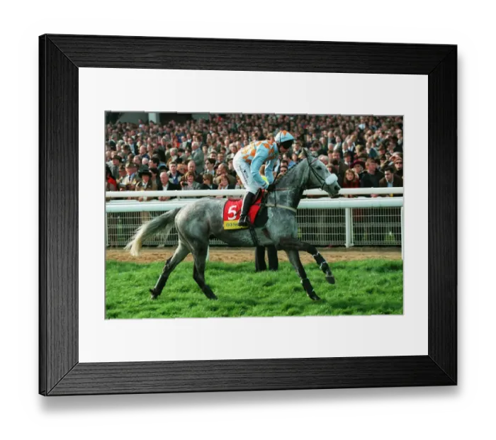 Framed Print : Grey Shot Ridden By J.Osborne 23 March 1999 Date: 23 March 1999 Framed Print : Grey Shot Ridden By J.Osborne 23 March 1999 Date: 23 March 1999