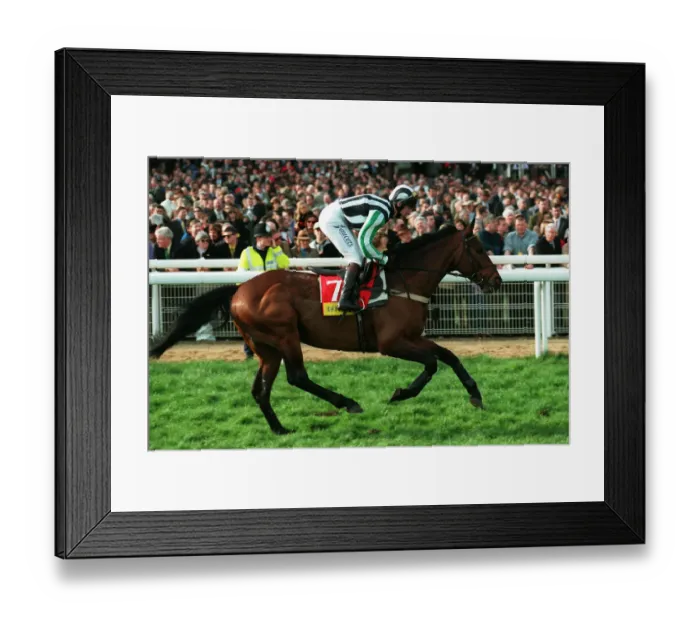 Framed Print : Midnight Legend Framed Print : Midnight Legend
