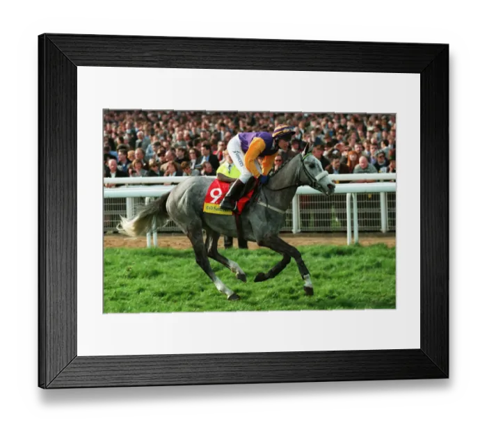 Framed Print : Nomadic Ridden By P.Carberry 23 March 1999 Date: 23 March 1999 Framed Print : Nomadic Ridden By P.Carberry 23 March 1999 Date: 23 March 1999