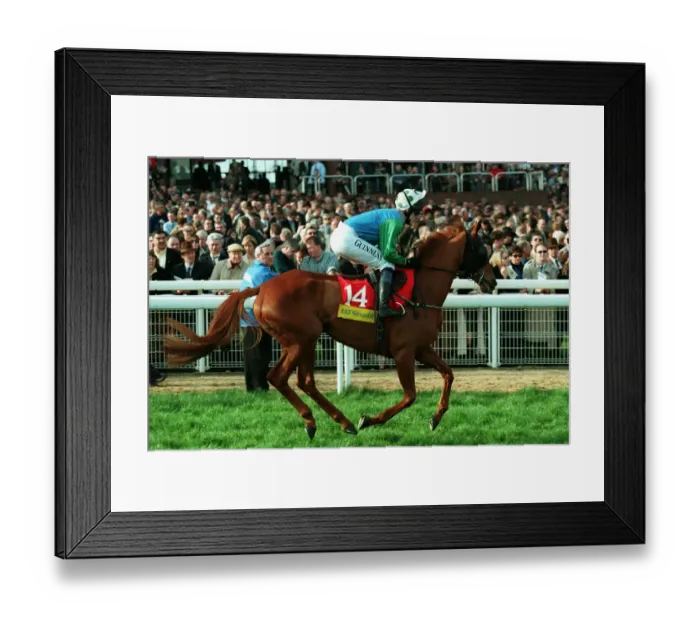 Framed Print : Lady Cricket