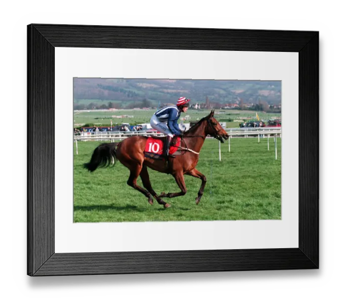 Framed Print : King Road Ridden By C.Llewellyn 23 March 1999 Date: 23 March 1999 Framed Print : King Road Ridden By C.Llewellyn 23 March 1999 Date: 23 March 1999