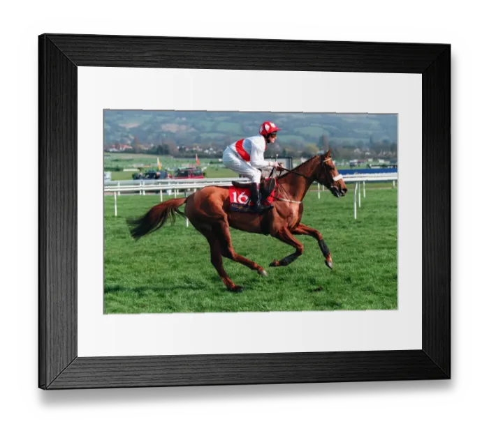 Framed Print : Winter Garden